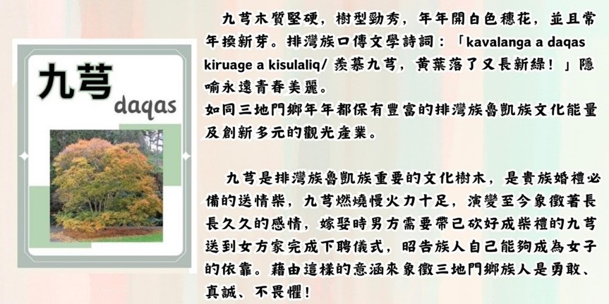 九芎