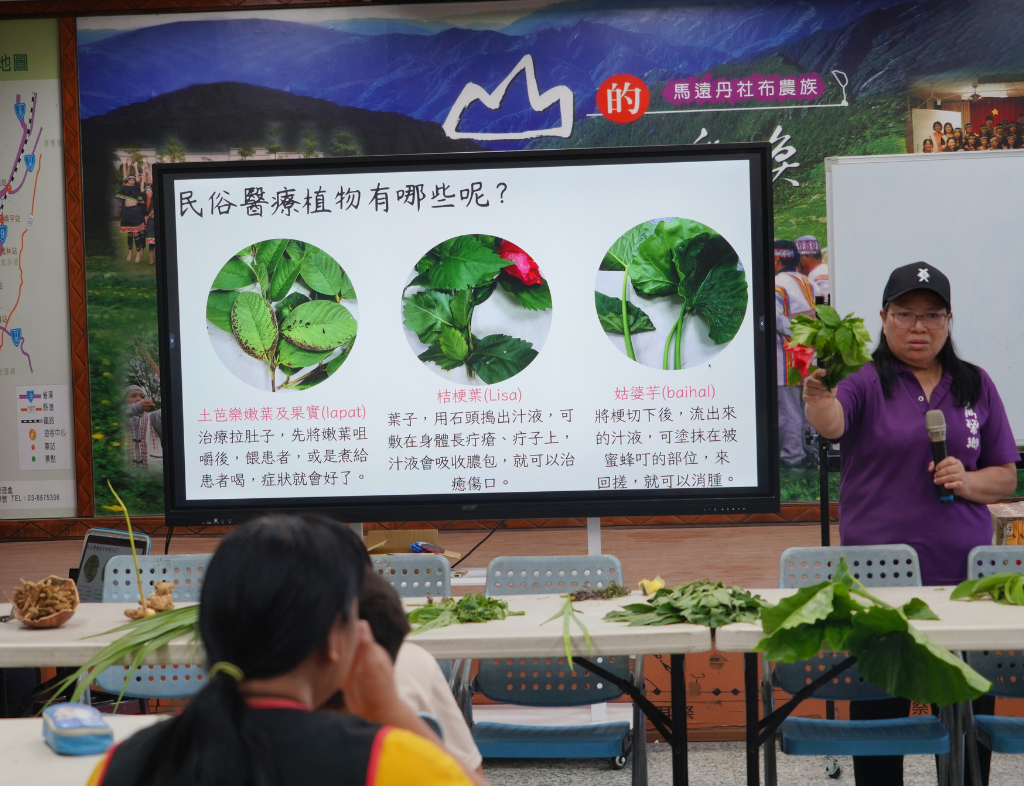 萬榮鄉布農族語言推廣人員，說明植物的介紹與用途方式