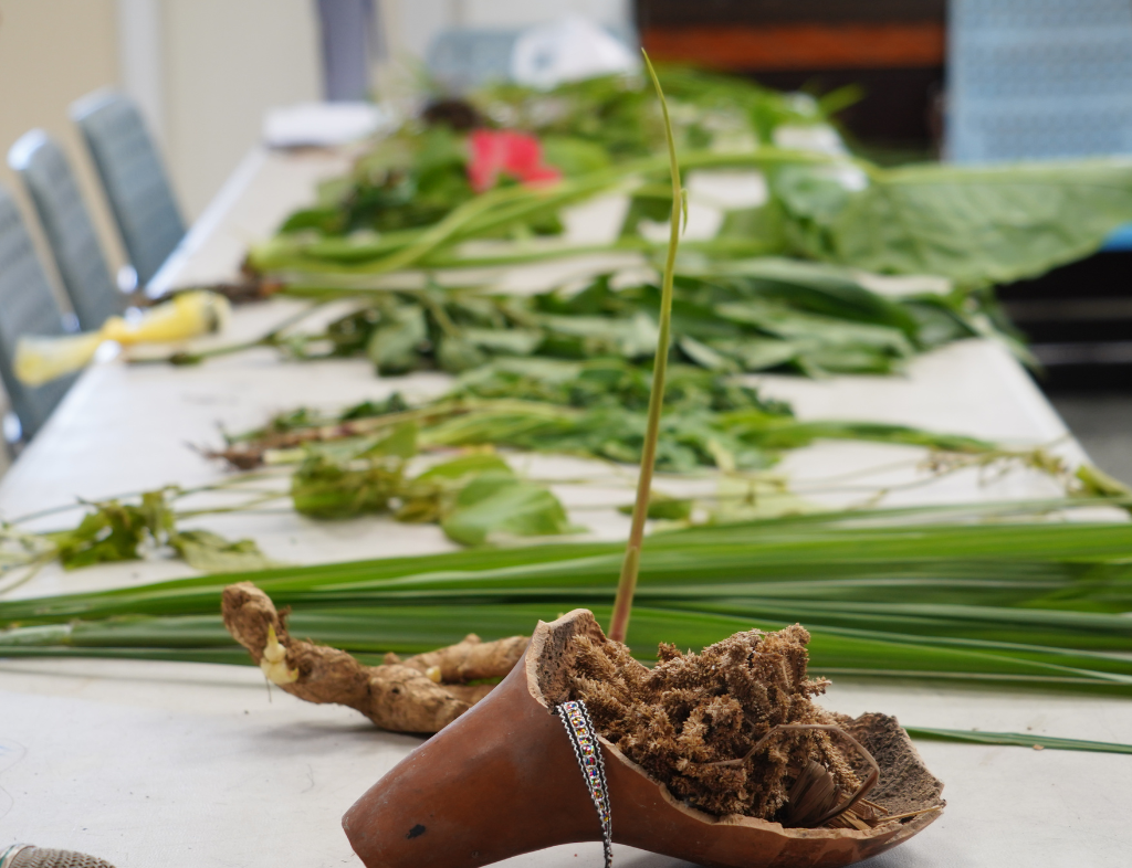 醫療民俗植物介紹