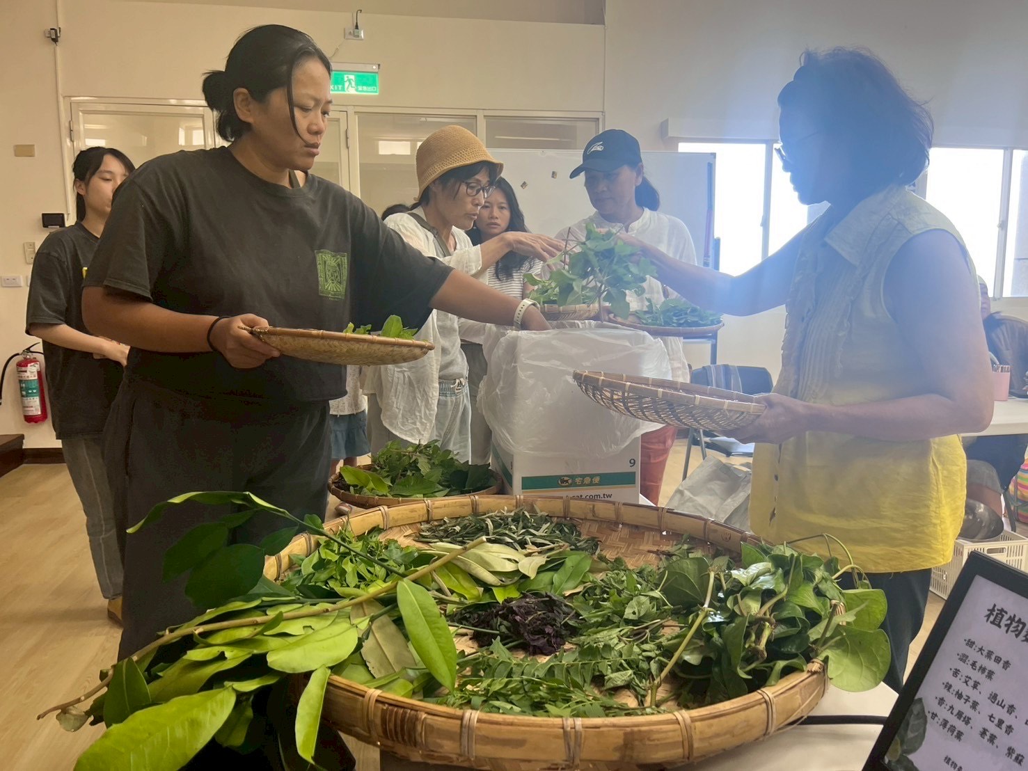 挑選植物