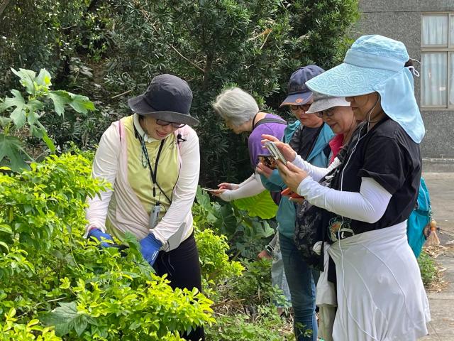 阿美族野菜文化X大地餐桌工作坊圖片6303