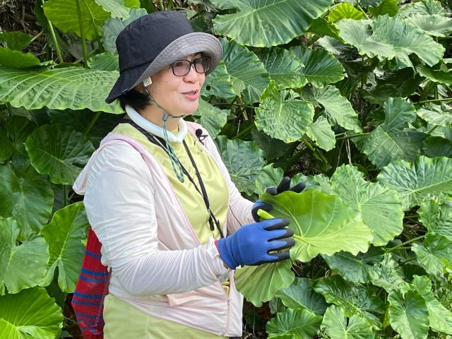 阿美族野菜文化X大地餐桌工作坊圖片6304