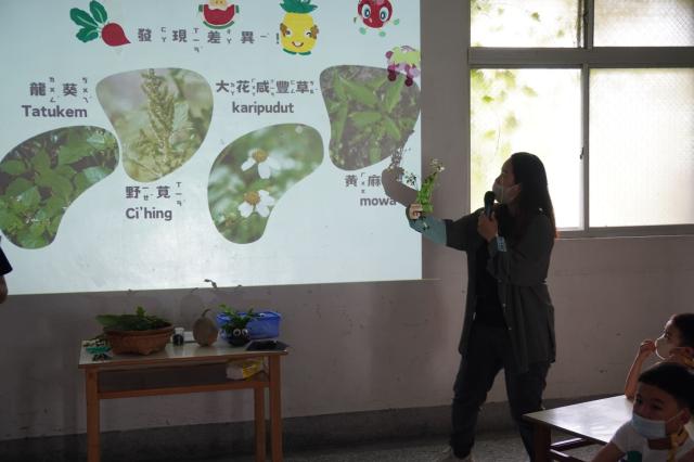 114.6.3壽豐鄉原住民文物館教育推廣活動-【野菜文化體驗課程】圖片9220