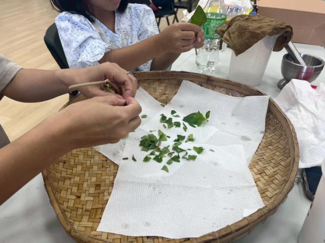【教育推廣活動】「𝐦𝐢𝐬𝐚^𝐞𝐩𝐚𝐡：成功 × 吉安文化館 植物麴交流工作坊」圖片10261