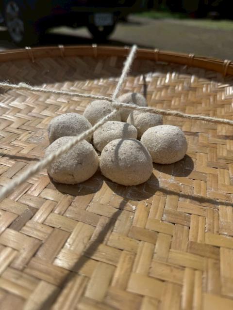 【教育推廣活動】「𝐦𝐢𝐬𝐚^𝐞𝐩𝐚𝐡：成功 × 吉安文化館 植物麴交流工作坊」圖片10270