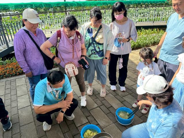 桃園蓮花季Misalama kita圖片10299