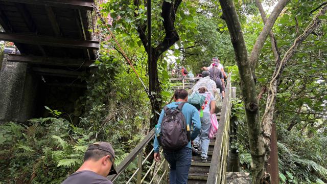 走入奇浩山海記憶｜阿美族走讀 × 草本體驗圖片10353