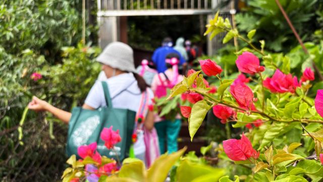 走入奇浩山海記憶｜阿美族走讀 × 草本體驗圖片10357