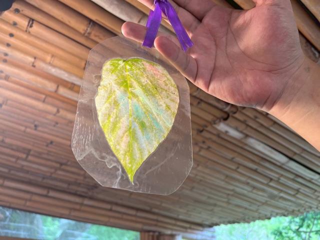 悠遊原博-食在山林圖片11368