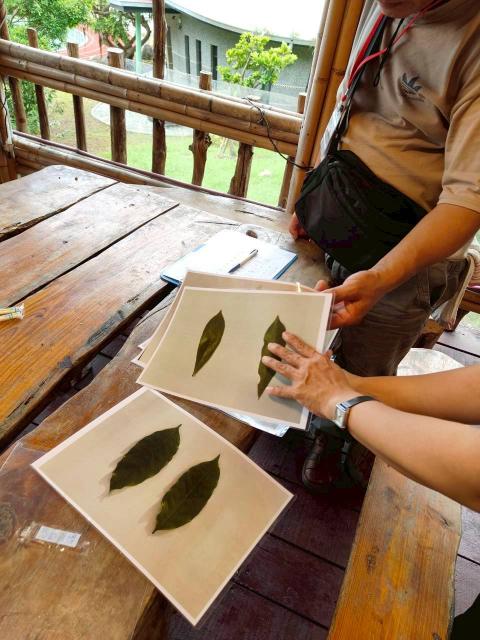 悠遊原博-食在山林圖片11371