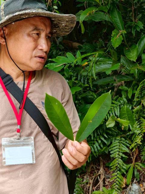 悠遊原博-食在山林圖片11373