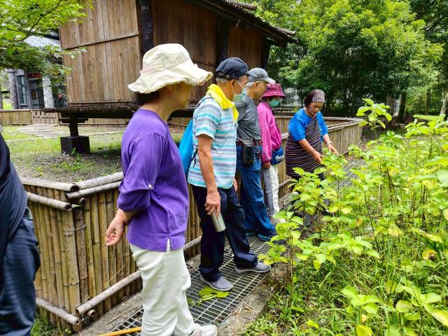 2025.06.21環境教育課程-苧麻泰厲害圖片11896