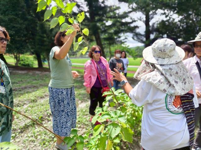 2025.07.05環境教育課程-苧麻泰厲害圖片11939
