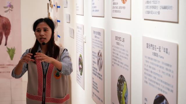 114年度萬榮鄉原住民族 『農耕日記好好吃‧Qmpah ta!』特展圖片12190