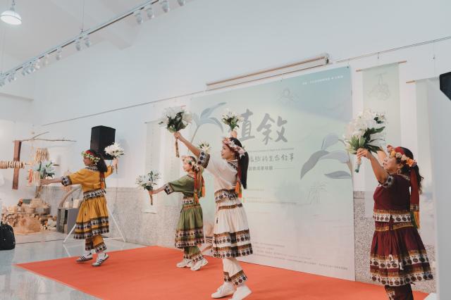 植・敘—排灣月桃的生命敘事圖片12238