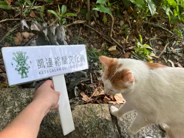  台北平埔記憶地圖圖片12461