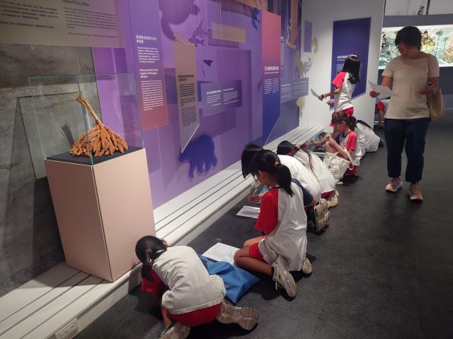 「文化宅急便」學校來館圖片12772