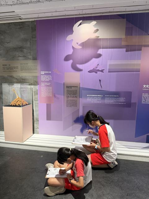 「文化宅急便」學校來館圖片12828