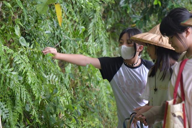 《走！部落•美式生活》–一場體驗 開始文化之旅 －壽豐鄉原住民文物館藝文場館(域)研發文化體驗圖片13004