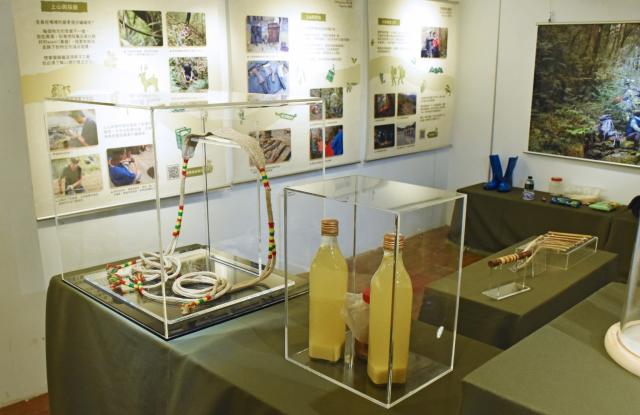 腳下的根·雲端的路gamil hogan na kakay tu'iy yatux  na yulung圖片13053