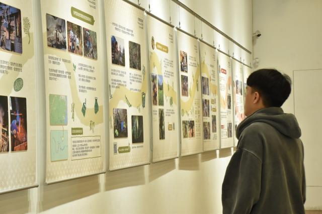 腳下的根·雲端的路gamil hogan na kakay tu'iy yatux  na yulung圖片13055