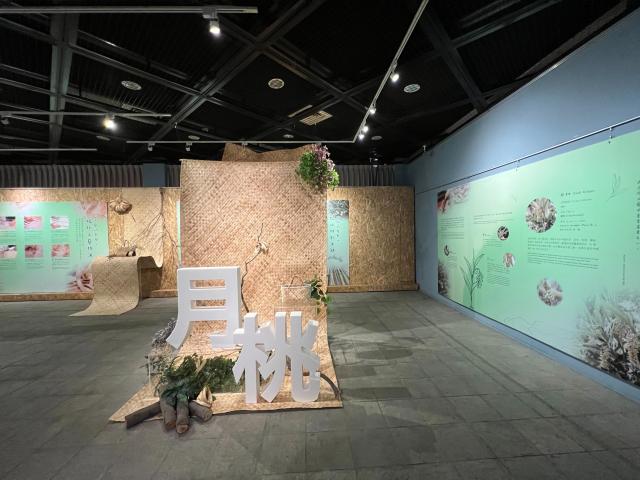 「植敘–排灣月桃編織的生命敘事」特展圖片14187
